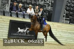 24BUCK_06243 proof