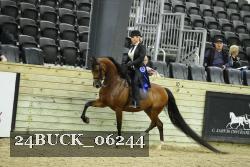 24BUCK_06244 proof