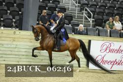 24BUCK_06246 proof