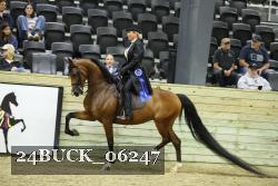 24BUCK_06247 proof