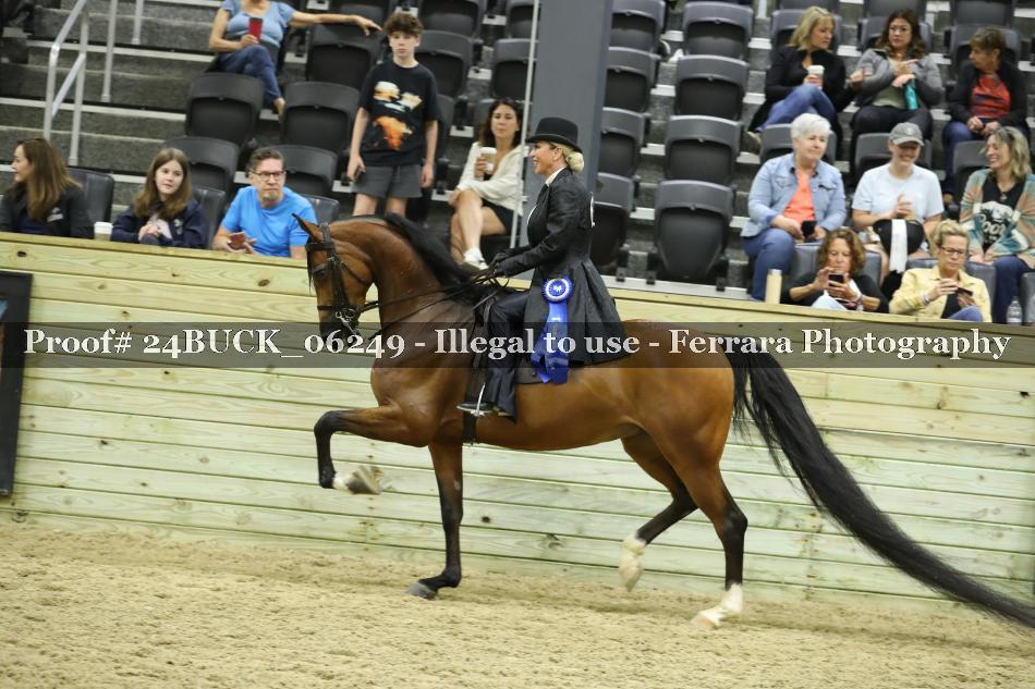 Proof 24BUCK_06249