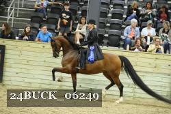 24BUCK_06249 proof
