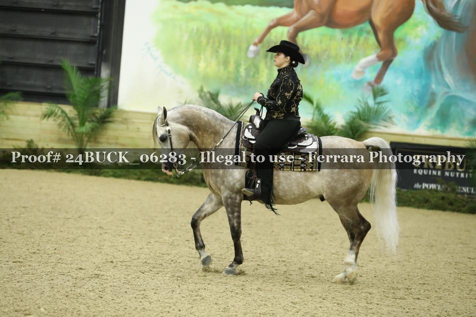 Proof 24BUCK_06283