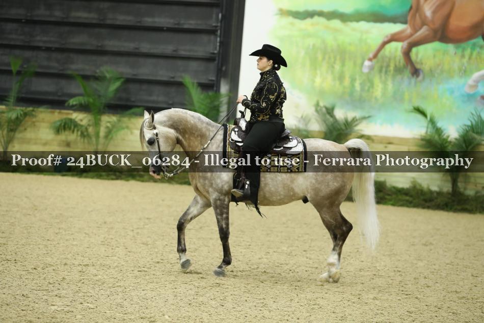 Proof 24BUCK_06284