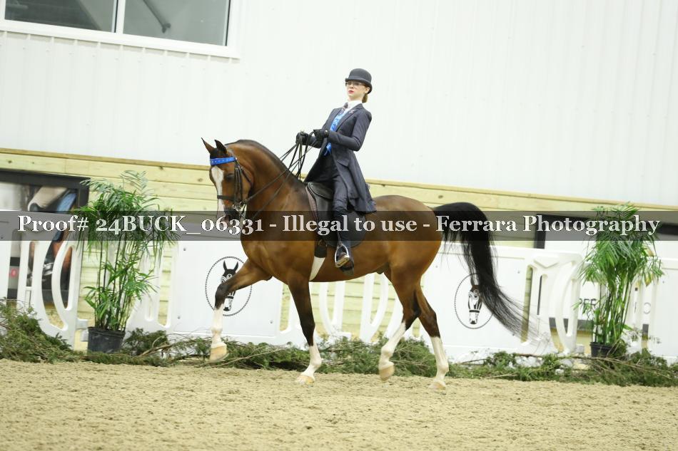 Proof 24BUCK_06331