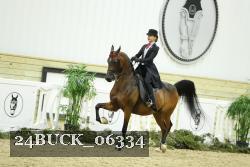 24BUCK_06334 proof