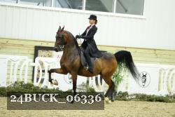 24BUCK_06336 proof