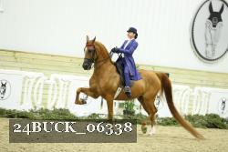 24BUCK_06338 proof