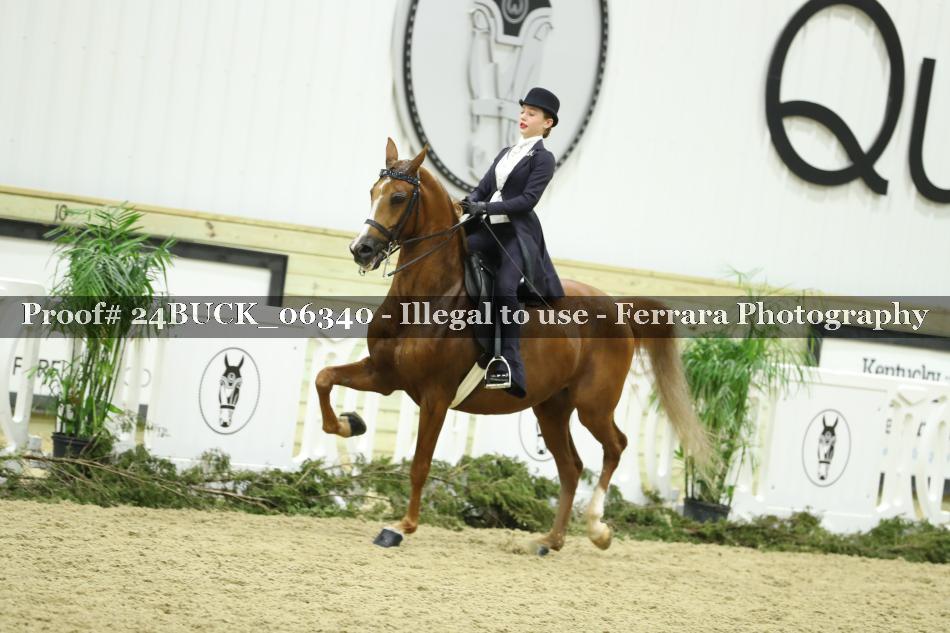 Proof 24BUCK_06340