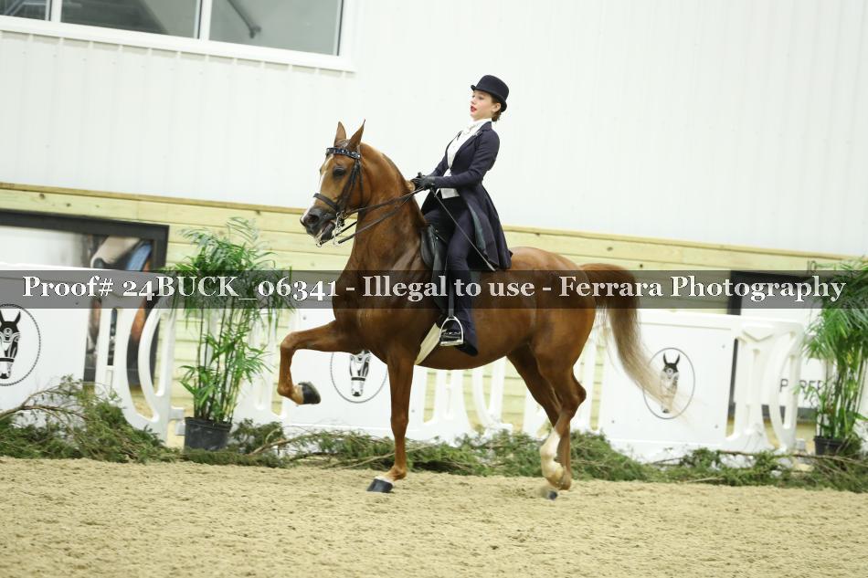 Proof 24BUCK_06341