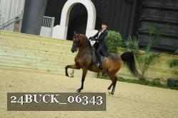 24BUCK_06343 proof