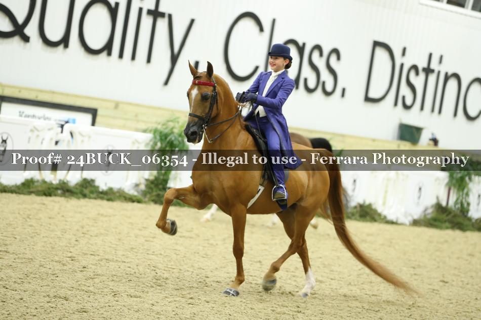 Proof 24BUCK_06354