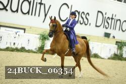 24BUCK_06354 proof