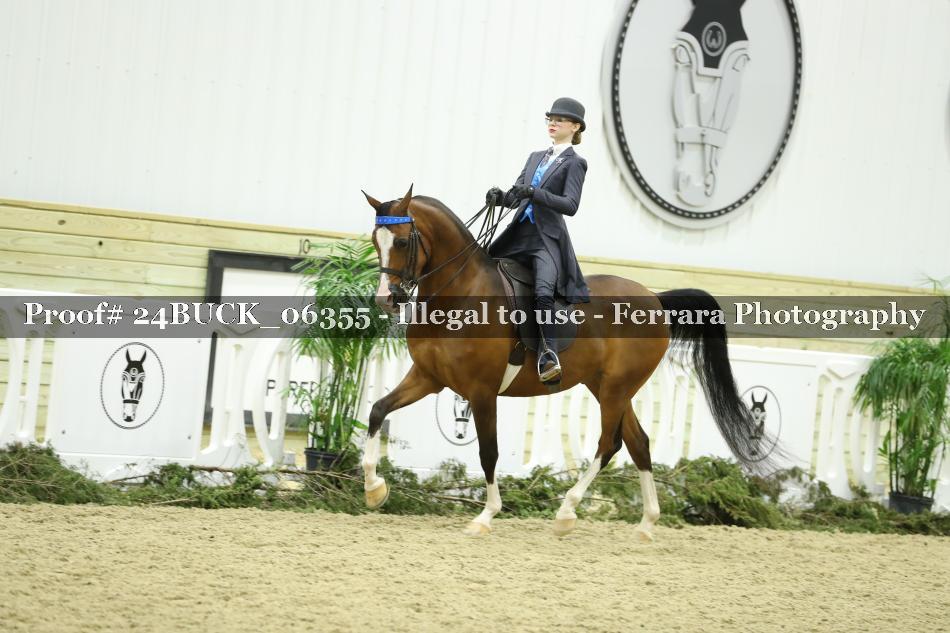 Proof 24BUCK_06355