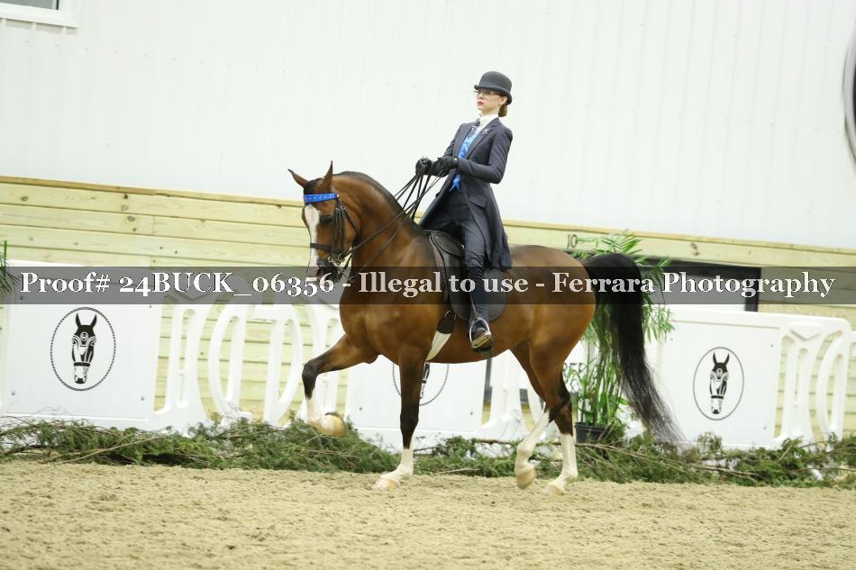 Proof 24BUCK_06356