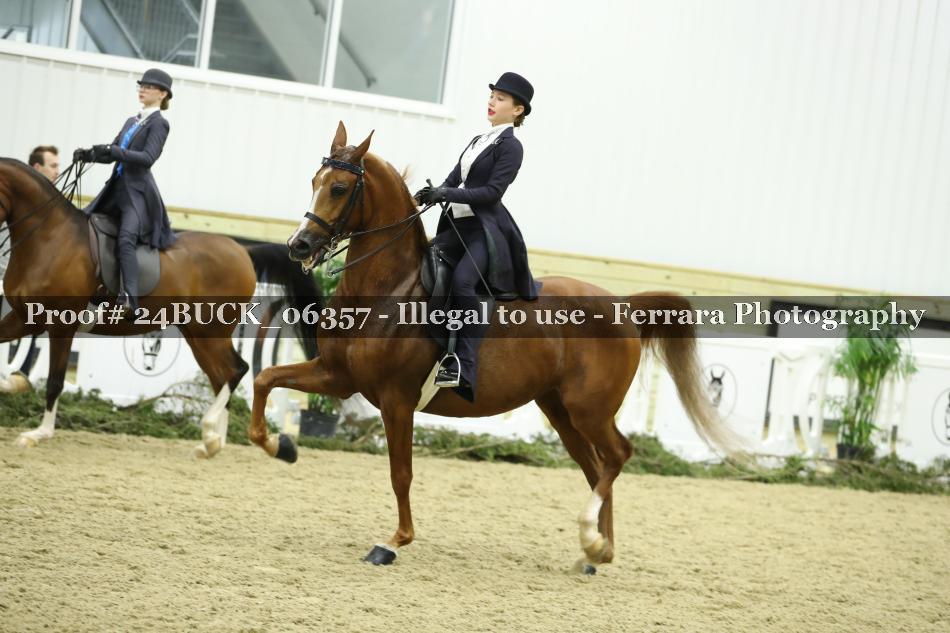 Proof 24BUCK_06357