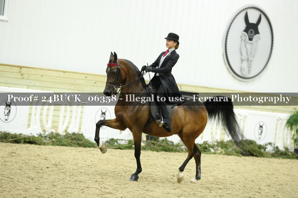 Proof 24BUCK_06358