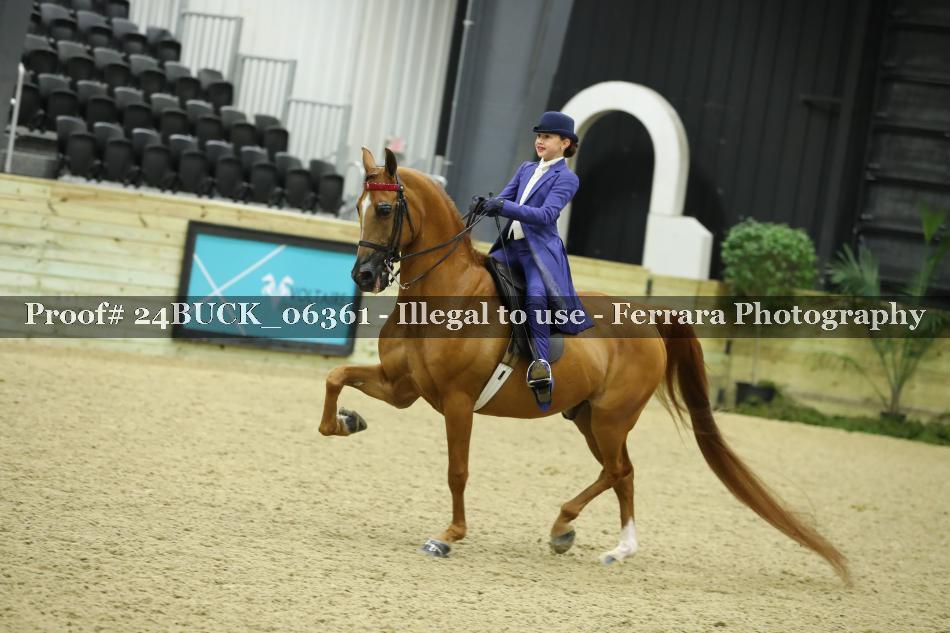 Proof 24BUCK_06361