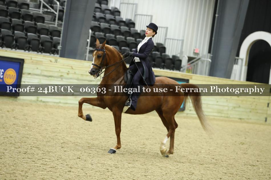 Proof 24BUCK_06363