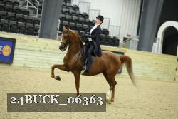 24BUCK_06363 proof