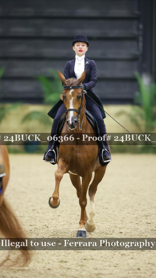 Proof 24BUCK_06366