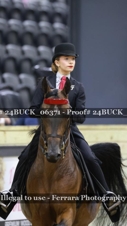 Proof 24BUCK_06371