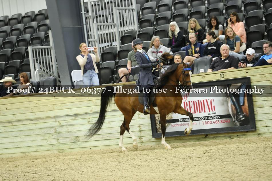 Proof 24BUCK_06377