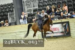 24BUCK_06377 proof