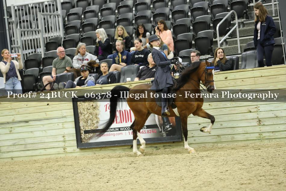 Proof 24BUCK_06378