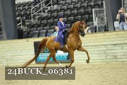 24BUCK_06381 proof