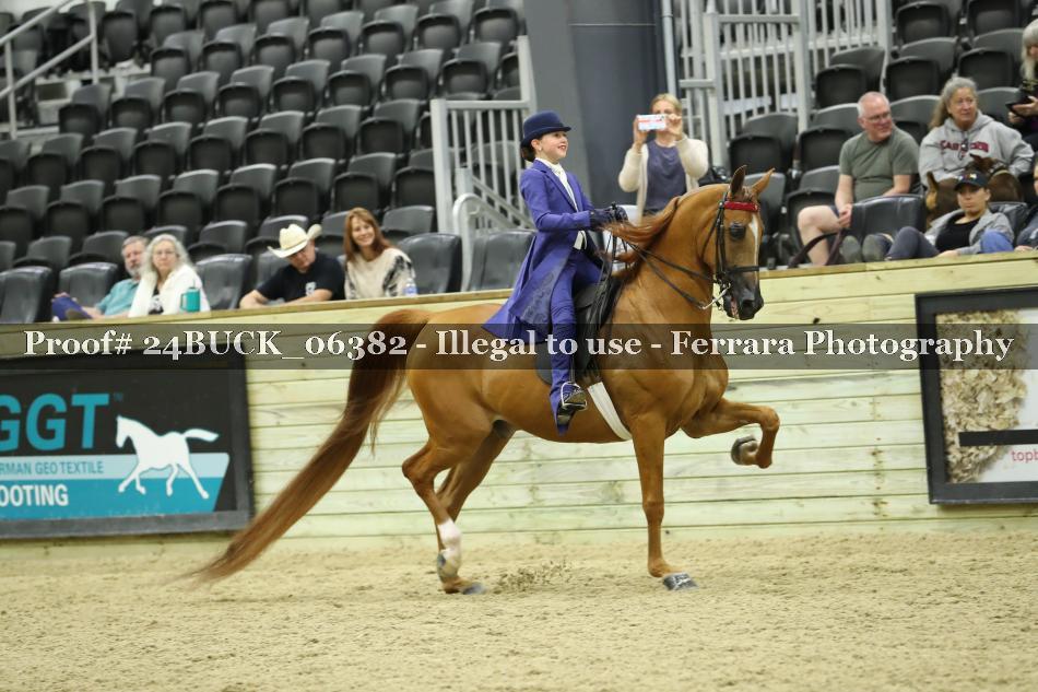 Proof 24BUCK_06382