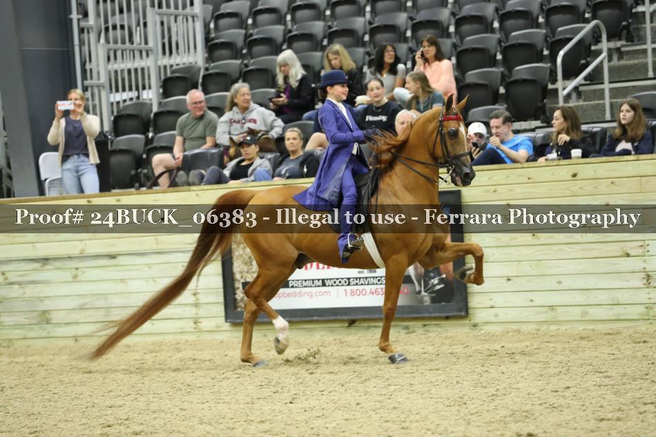 Proof 24BUCK_06383
