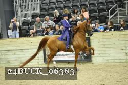 24BUCK_06383 proof