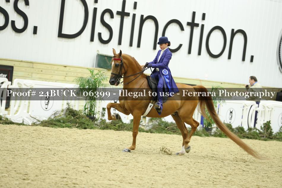 Proof 24BUCK_06399