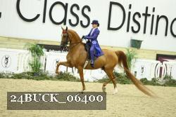 24BUCK_06400 proof