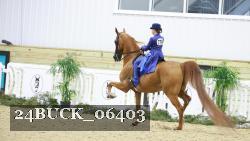 24BUCK_06403 proof
