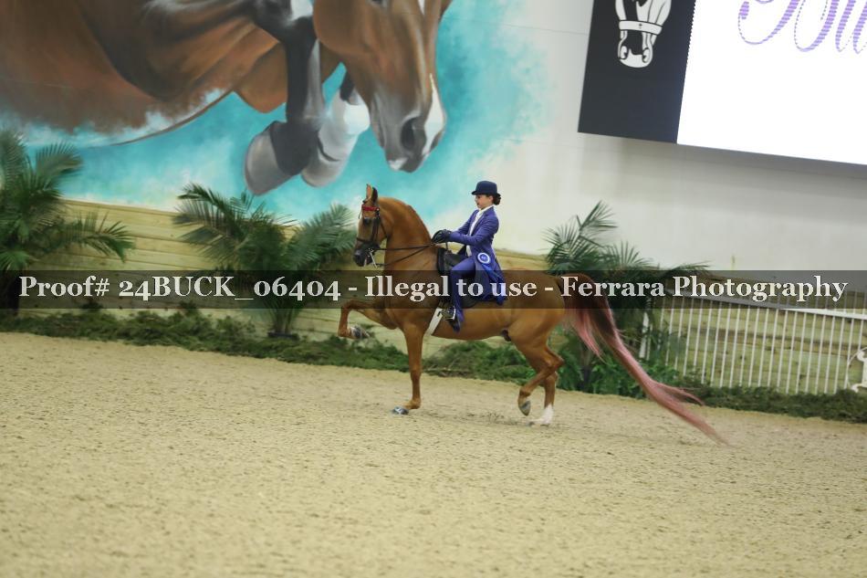 Proof 24BUCK_06404