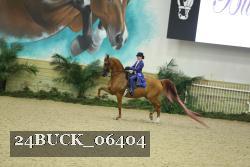 24BUCK_06404 proof