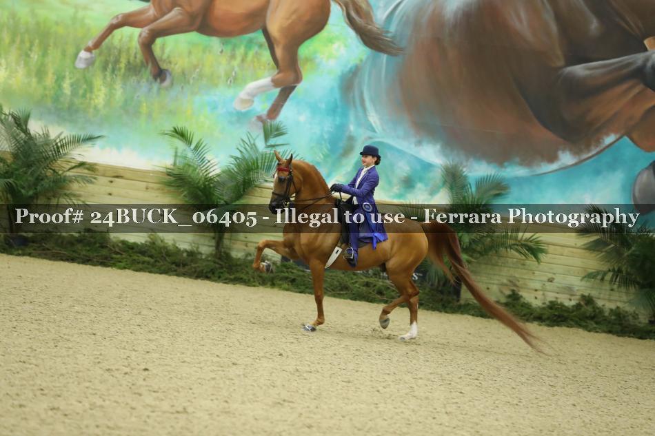 Proof 24BUCK_06405