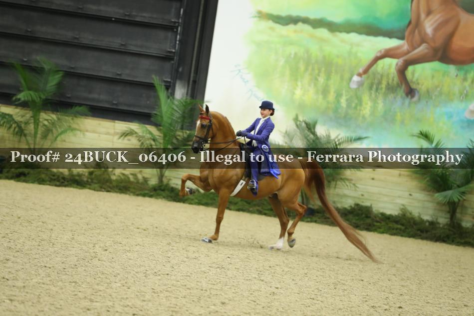 Proof 24BUCK_06406