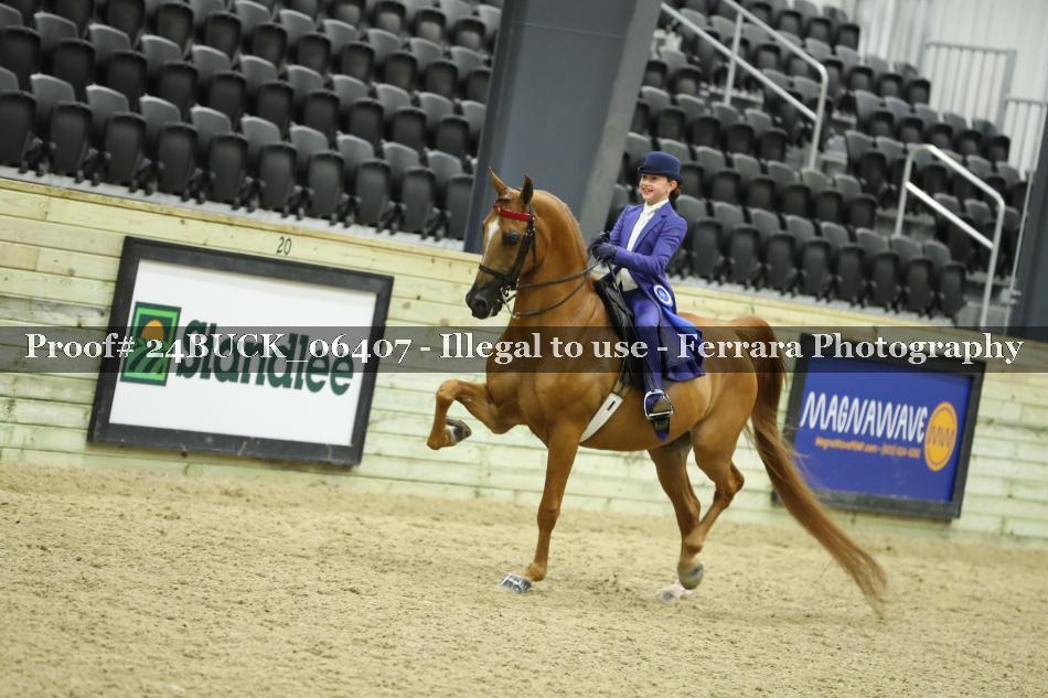 Proof 24BUCK_06407