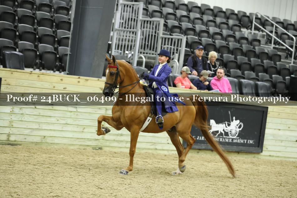 Proof 24BUCK_06409