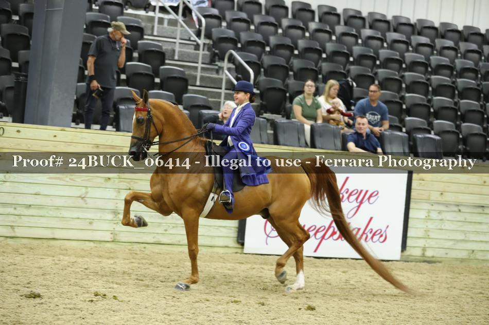 Proof 24BUCK_06414
