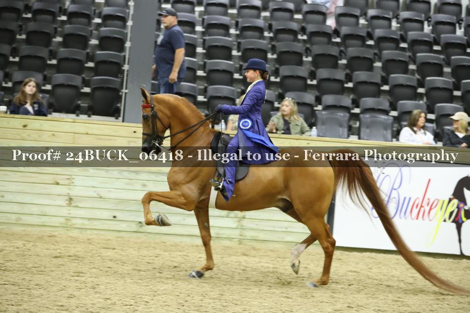 Proof 24BUCK_06418