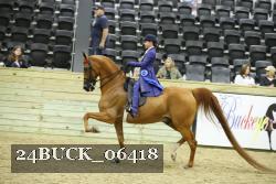 24BUCK_06418 proof