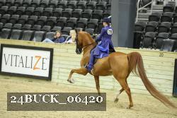 24BUCK_06420 proof