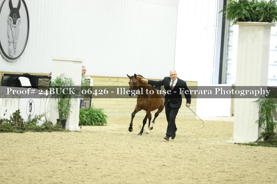 Proof 24BUCK_06426