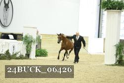 24BUCK_06426 proof