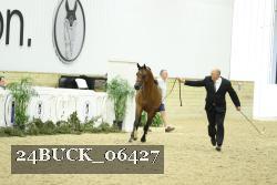 24BUCK_06427 proof