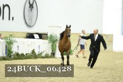24BUCK_06428 proof